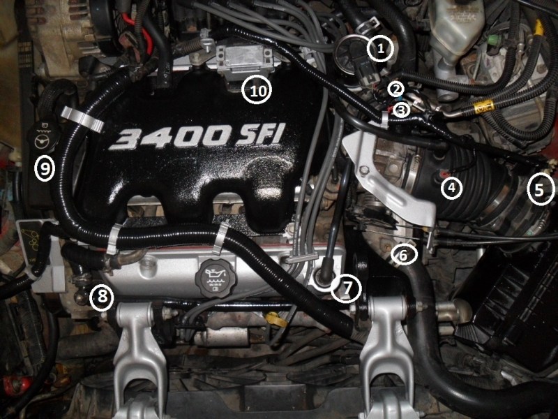 3400 sfi v6 engine diagram